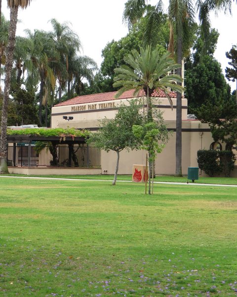 Palms and lawn at Pearson Park in Anaheim