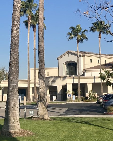 Palms in front of Buena Park City Hall