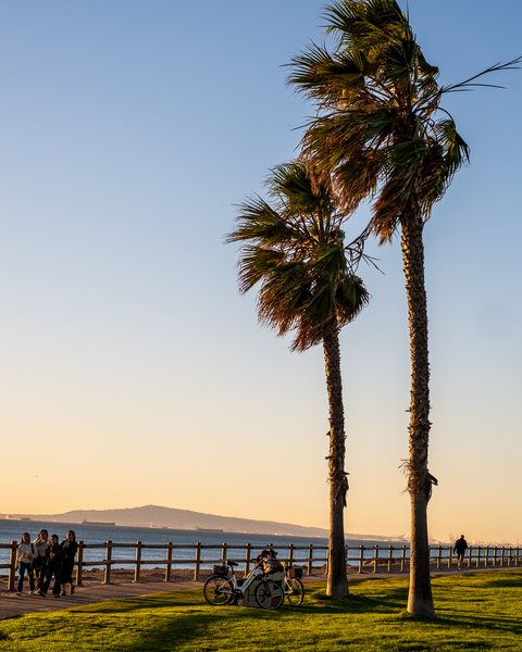 Palms and a flag on the bluff above the ocean in Huntington Beach