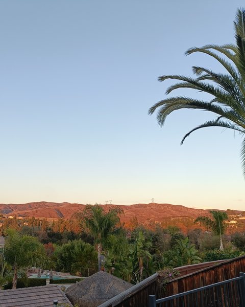 Rooftops and hills in Yorba Linda at sunset, with a palm
